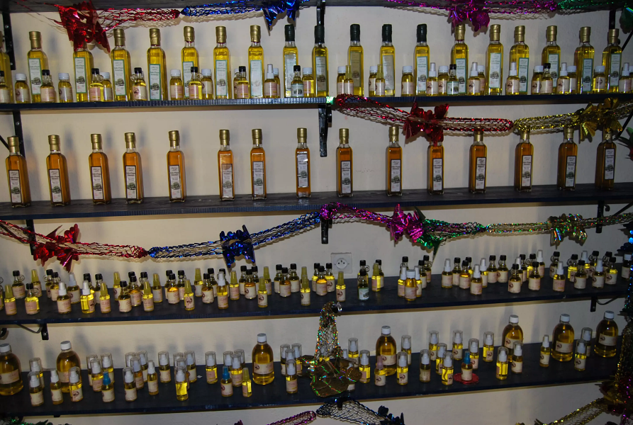 Seeds of Hope: Women, Argan, and the Cooperative Spirit of Morocco
