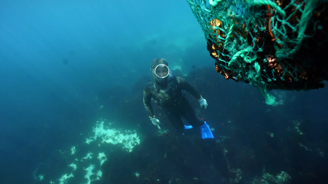 Culture of Jeju Haenyeo (women divers)