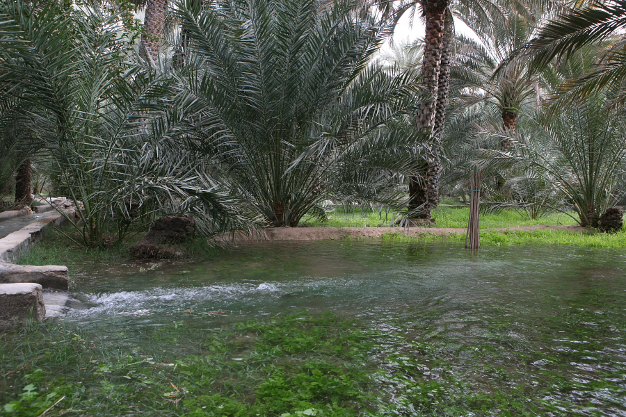 Al Aflaj traditional irrigation network system